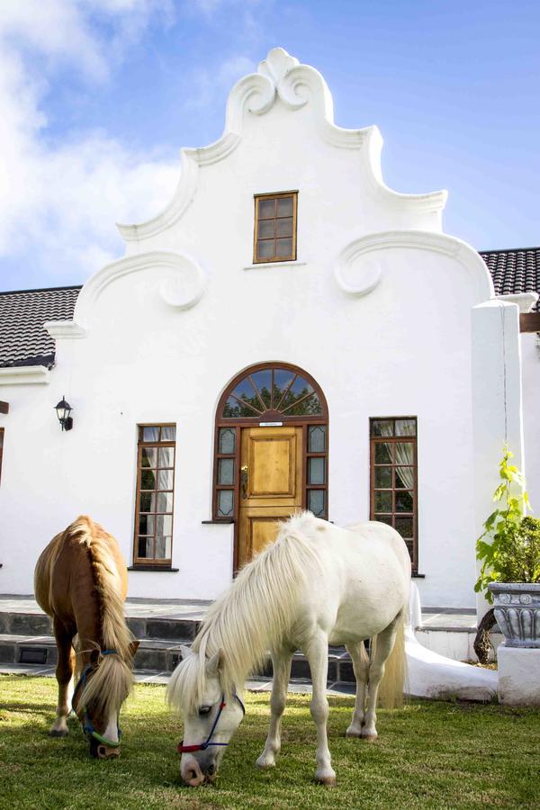 Victoria Heights B&B George Kültér fotó